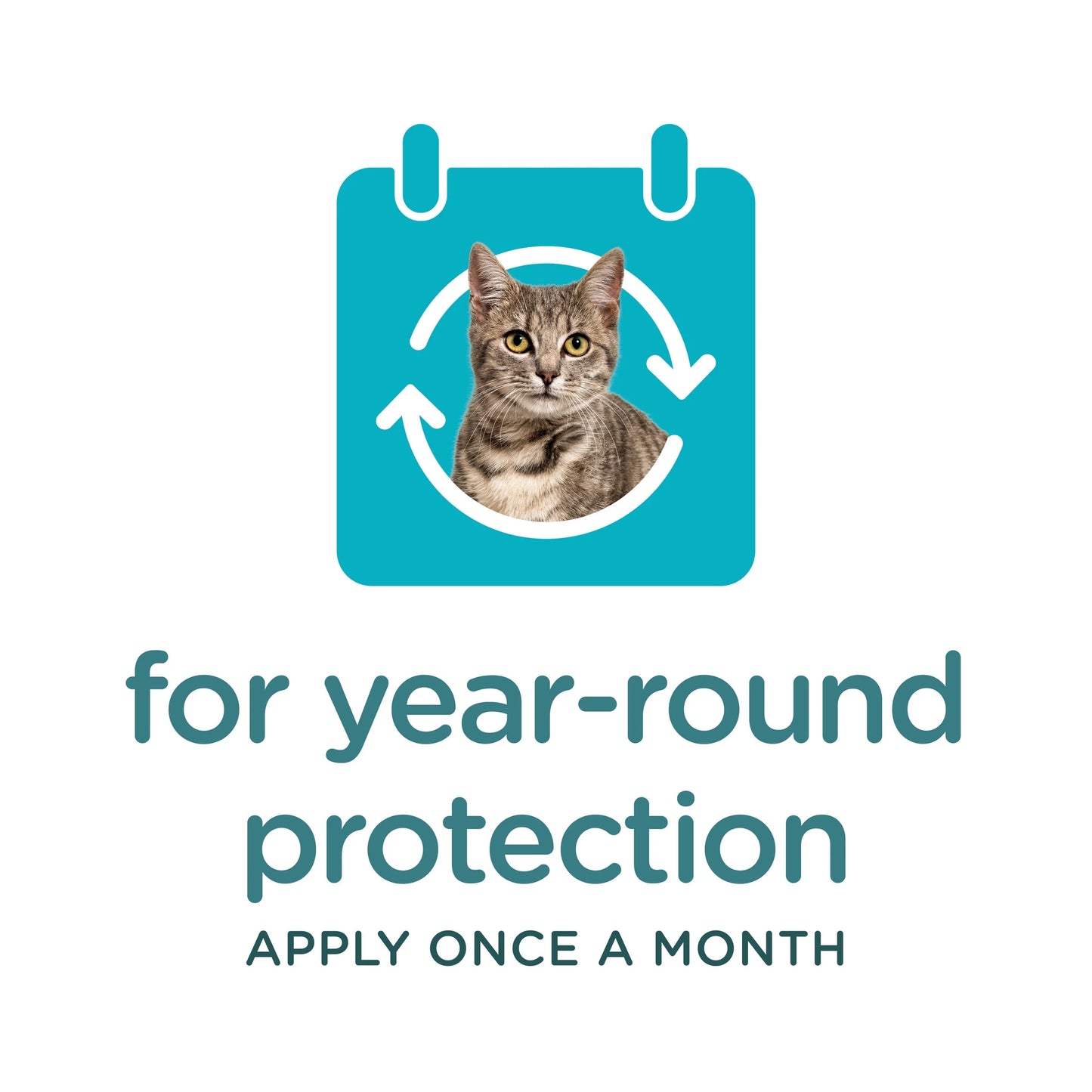 (2 Pack) GUARDIAN Flea & Tick Topical for Cats, 6 Lbs and Over, 3 Count