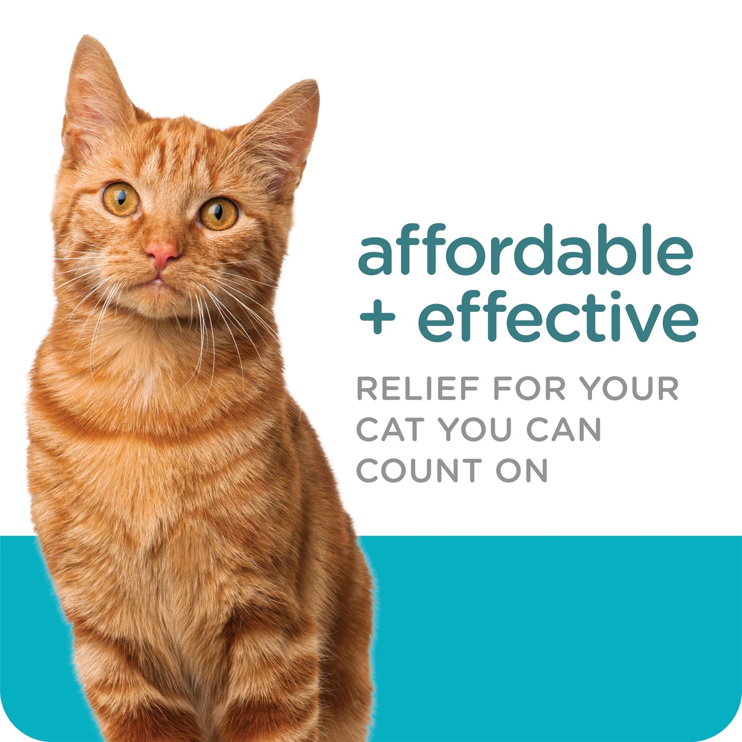 (2 Pack)  GUARDIAN Flea & Tick Topical for Cats, 6 Lbs and Over, 3 Count