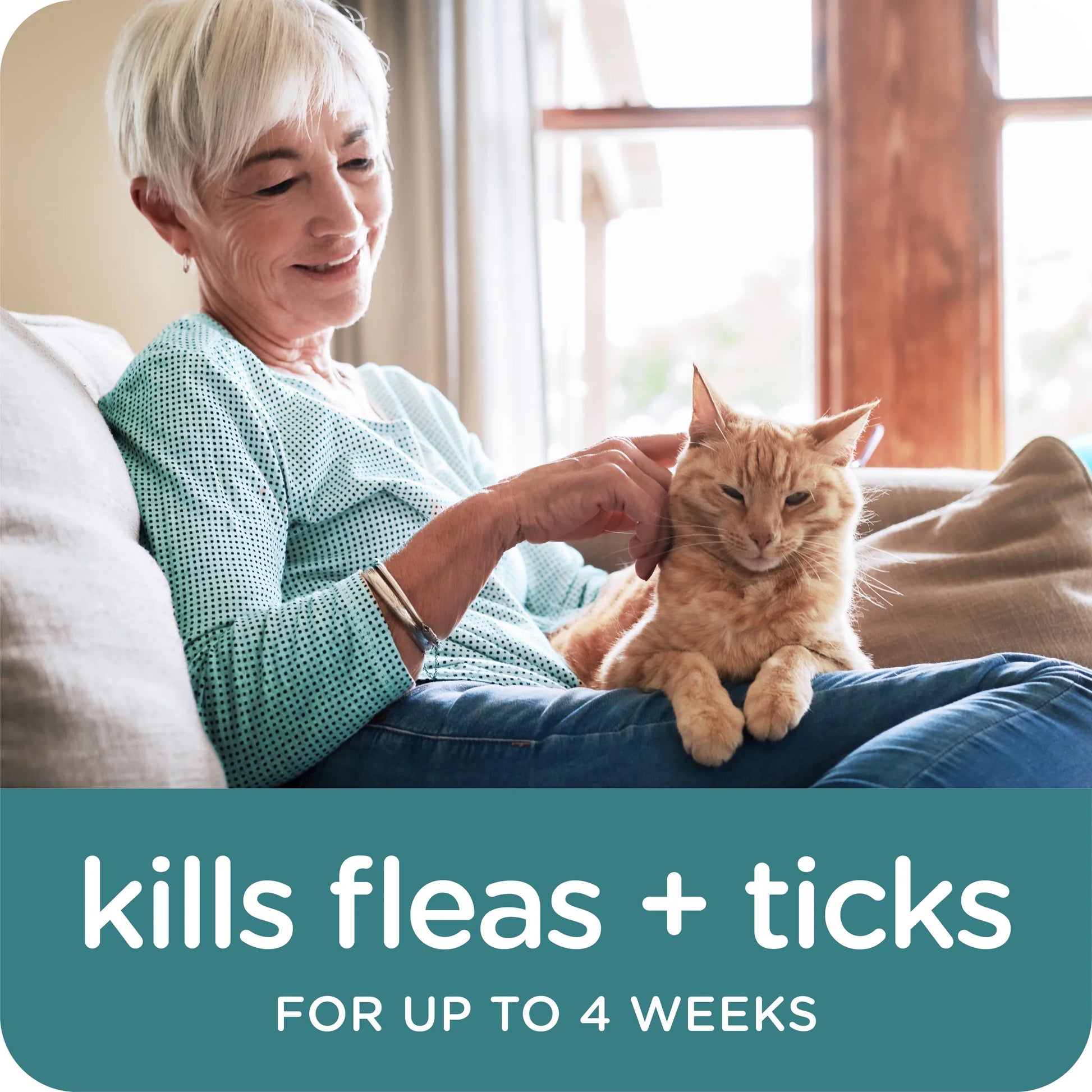 (2 Pack)  GUARDIAN Flea & Tick Topical for Cats, 6 Lbs and Over, 3 Count
